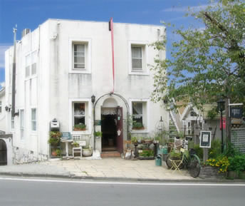 �n�E�X�I�u�|�^���[�O��