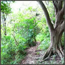 �n�C�L���O�R�[�X