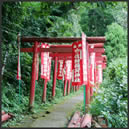 ������ׂ̓�����t��