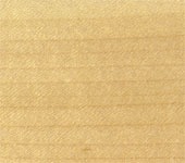 ���[�v��